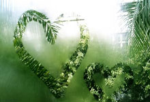 美记：詹姆斯的合同处于最后一年，明年可能是他在湖人的最后一个赛季