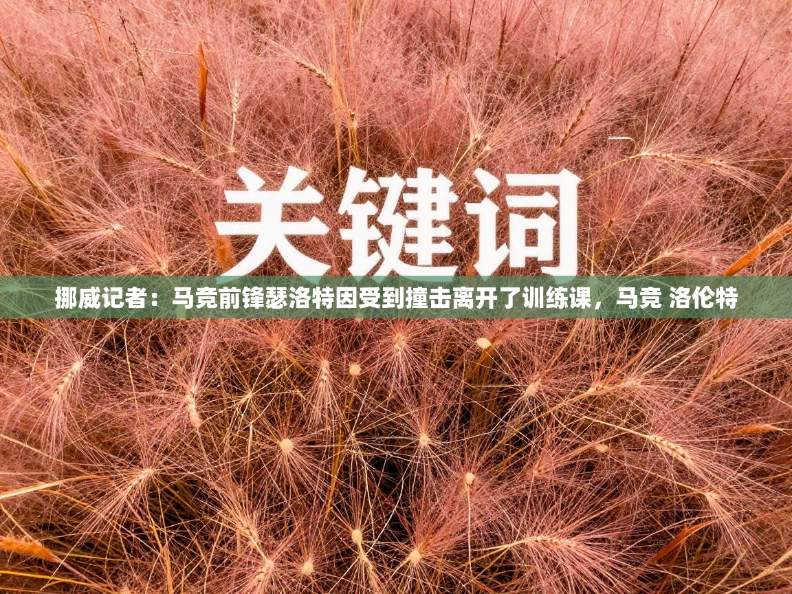 挪威记者：马竞前锋瑟洛特因受到撞击离开了训练课，马竞 洛伦特  第1张