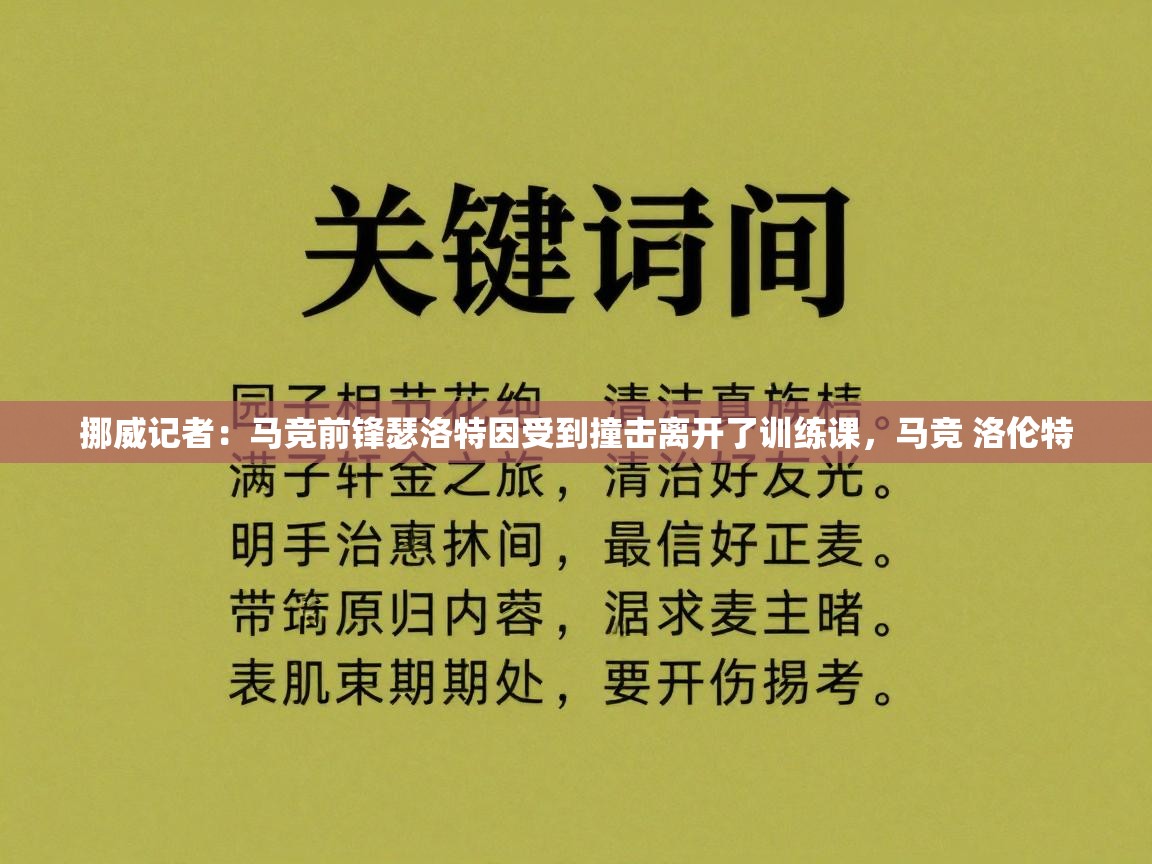 挪威记者：马竞前锋瑟洛特因受到撞击离开了训练课，马竞 洛伦特  第2张