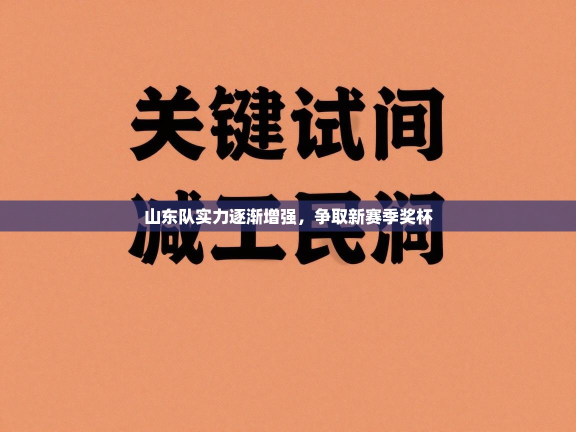 山东队实力逐渐增强，争取新赛季奖杯  第1张