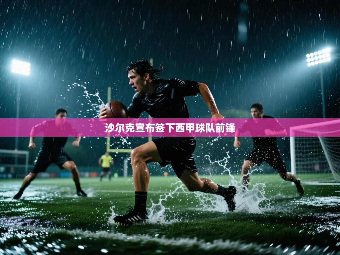 沙尔克宣布签下西甲球队前锋 第1张