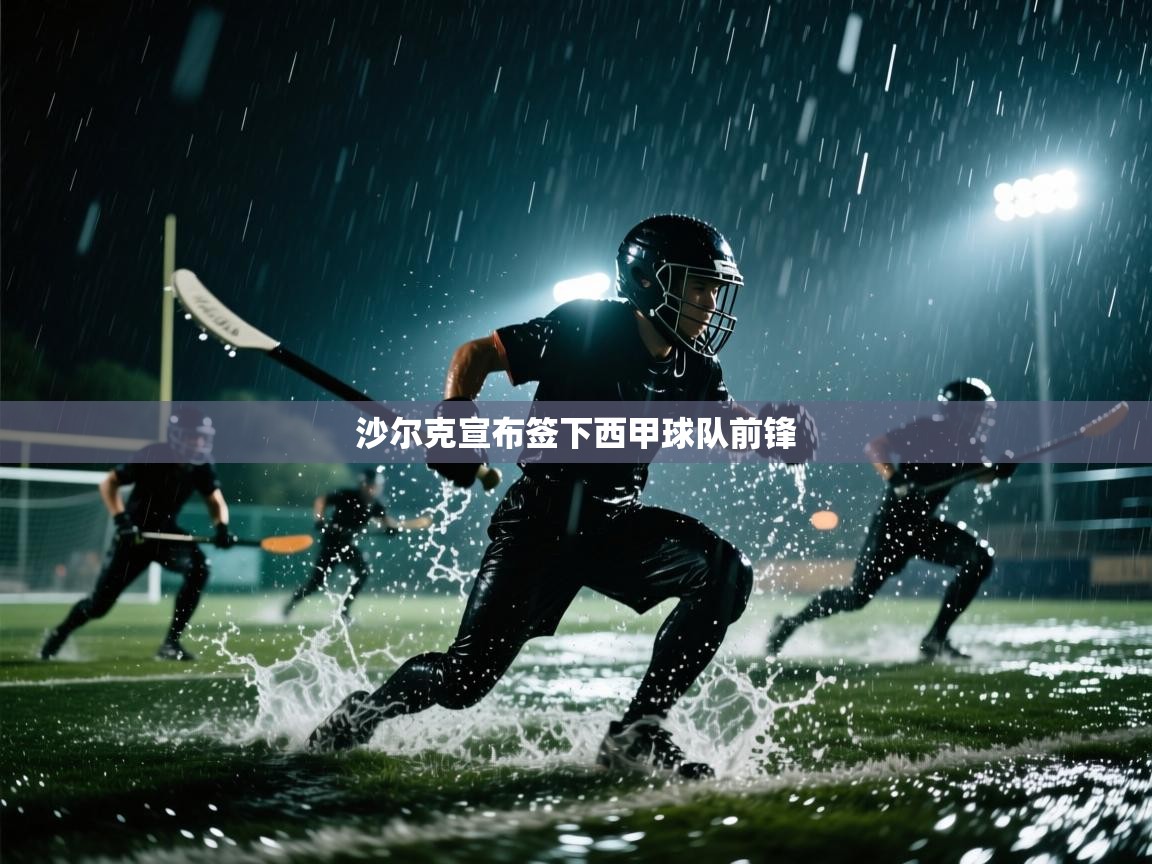 沙尔克宣布签下西甲球队前锋 第2张